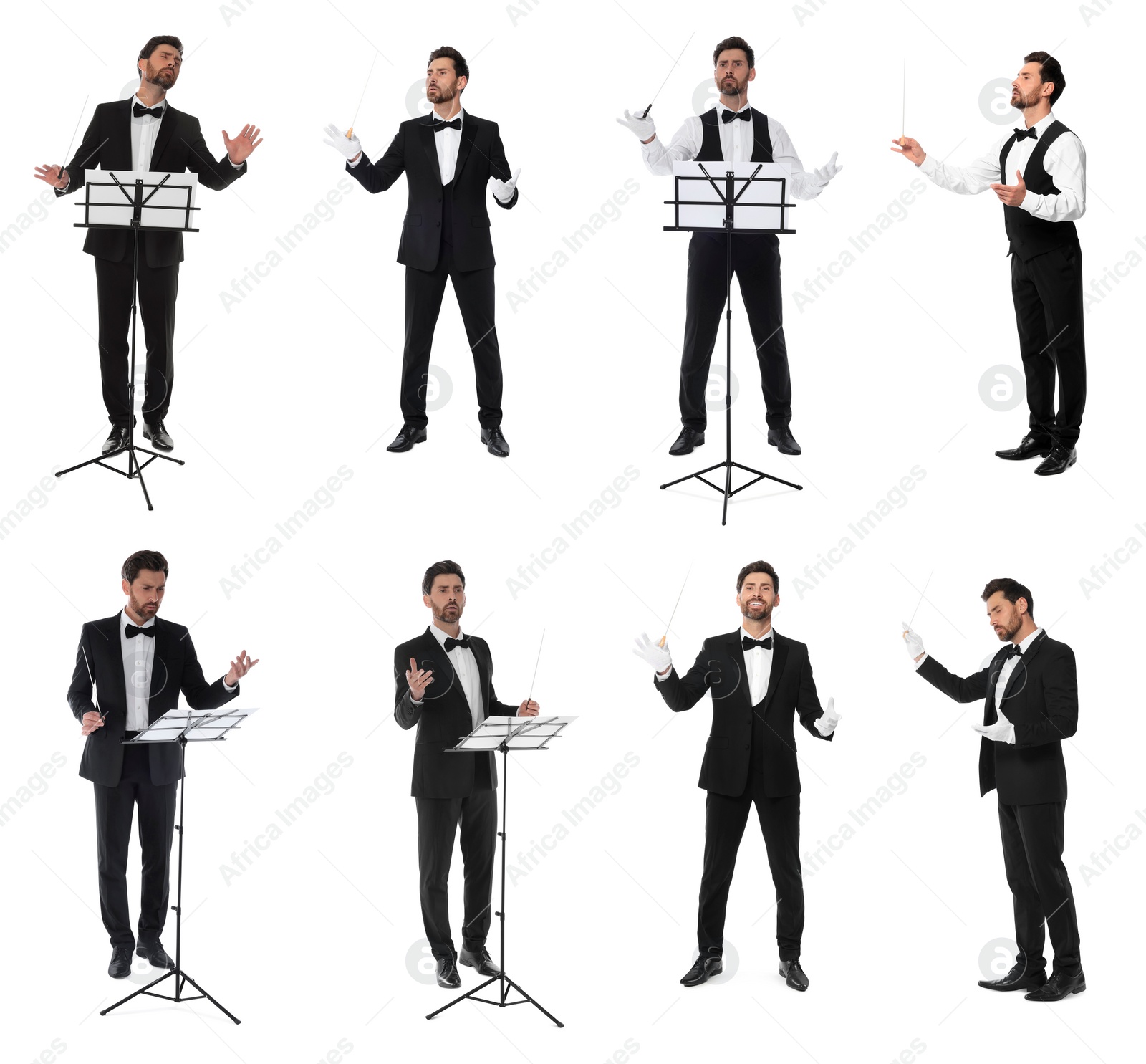 Image of Collage with photos of professional young conductor with baton on white background