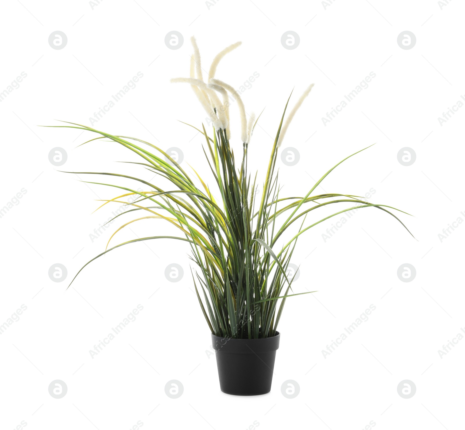 Photo of Beautiful artificial plant in flower pot isolated on white