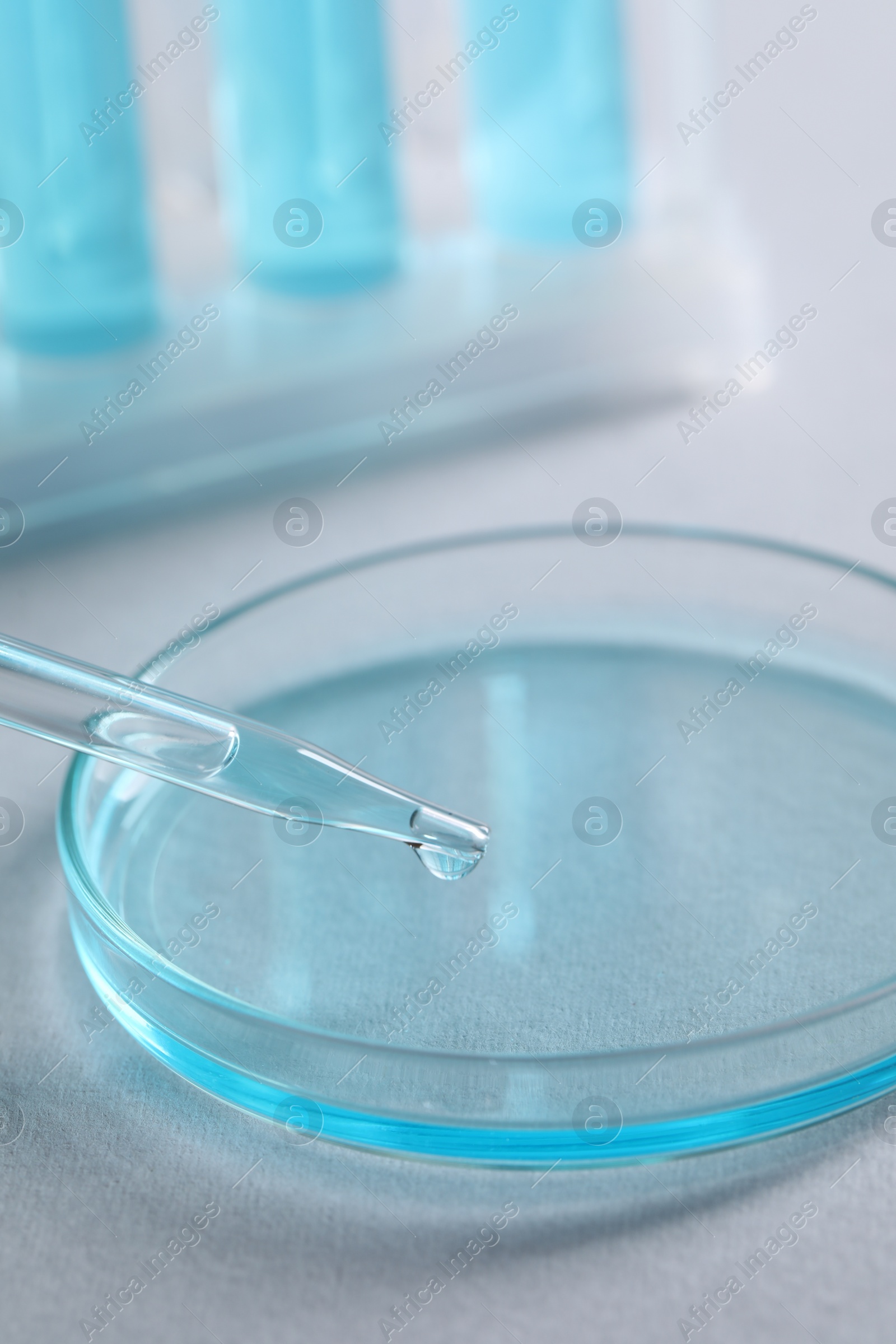 Photo of Dripping liquid from pipette into petri dish on light table, closeup. Laboratory analysis