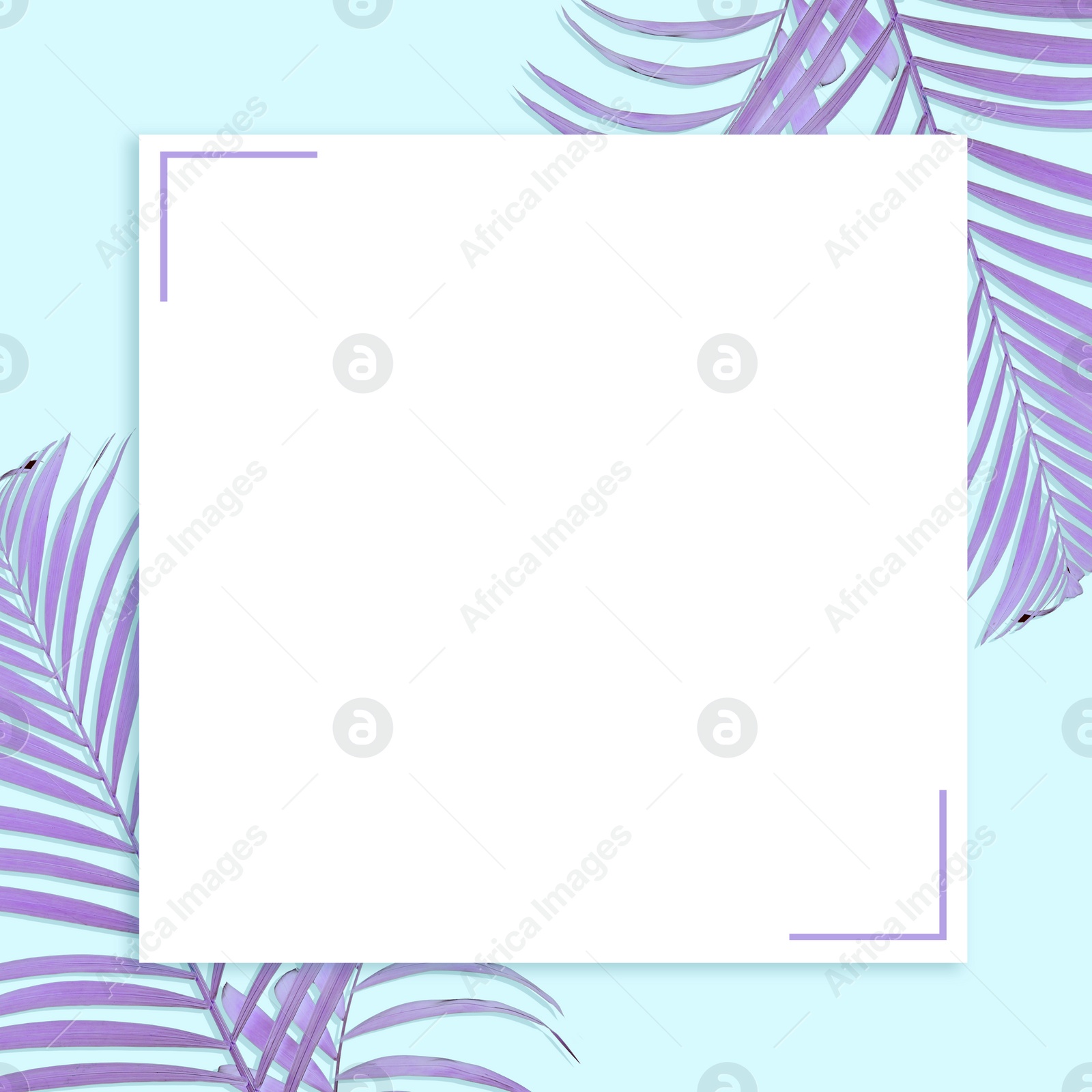 Image of Blank card and colorful tropical leaves on light blue background, flat lay. Creative design