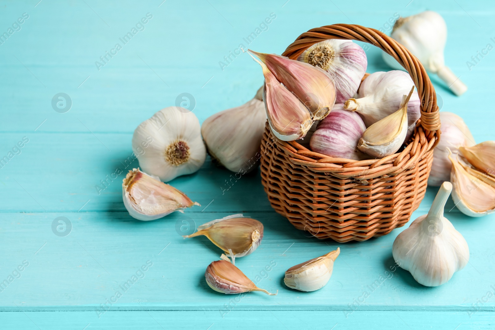 Photo of Fresh unpeeled garlic bulbs and cloves on light blue wooden table. Organic product