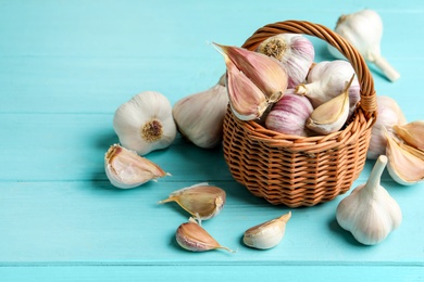Fresh unpeeled garlic bulbs and cloves on light blue wooden table. Organic product