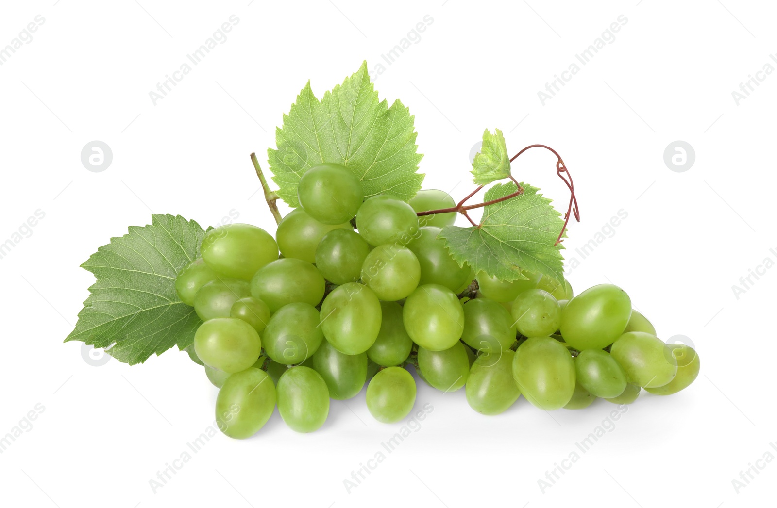 Photo of Fresh ripe grapes and leaves isolated on white