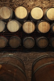 Photo of Wine cellar interior with large wooden barrels