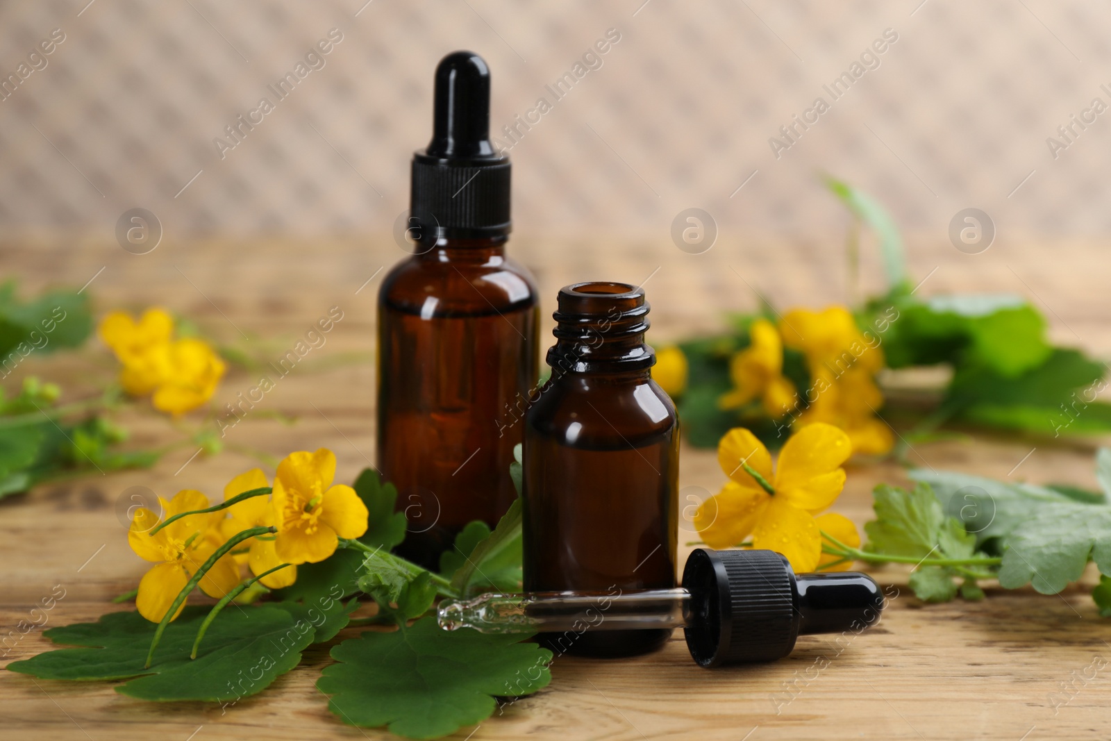 Photo of Bottles of natural celandine oil near flowers on wooden table