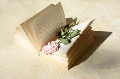 Photo of Book with beautiful dried flower on light table