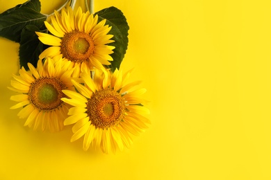 Photo of Beautiful bright sunflowers on yellow background, flat lay. Space for text