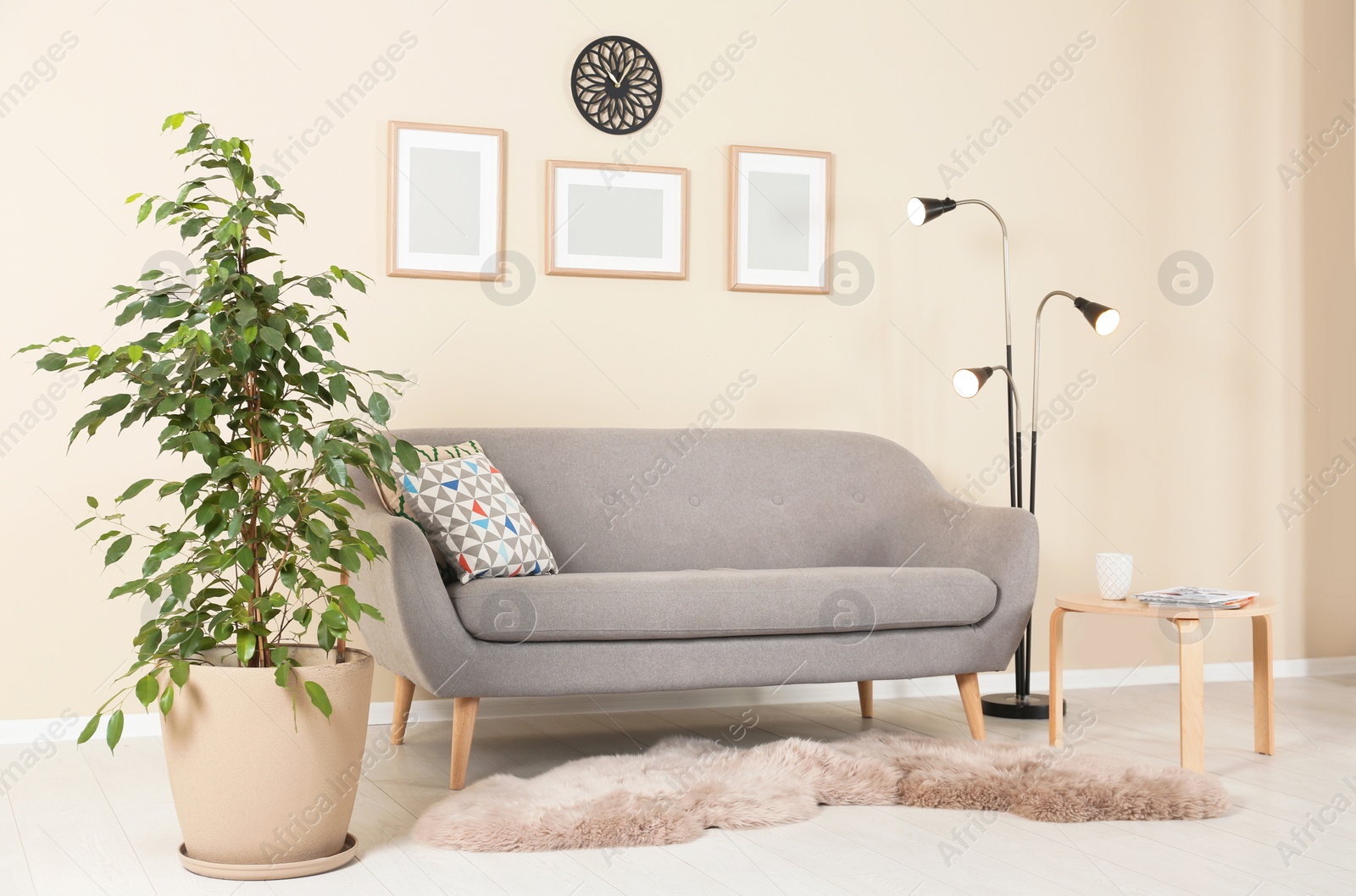 Photo of Stylish living room interior with ficus and sofa near light wall