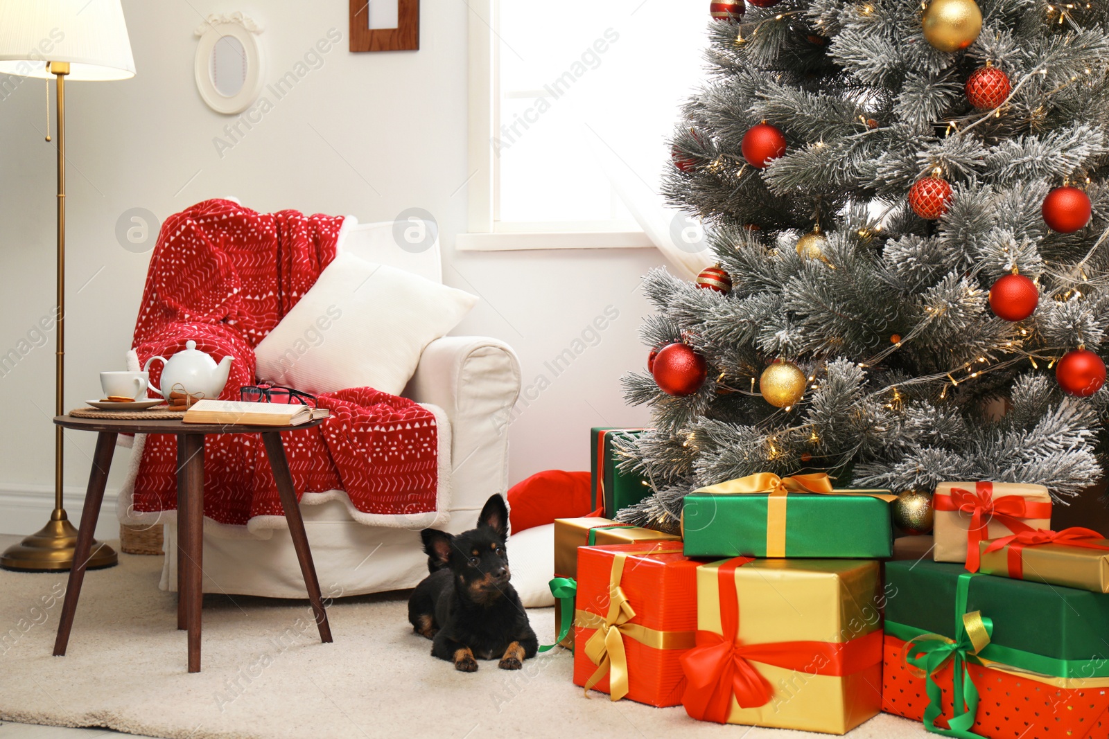 Photo of Adorable dog in room with decorated Christmas tree. Festive interior