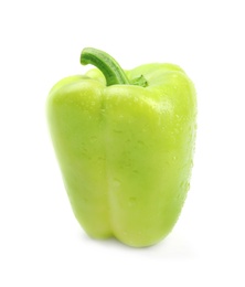 Wet ripe green bell pepper on white background