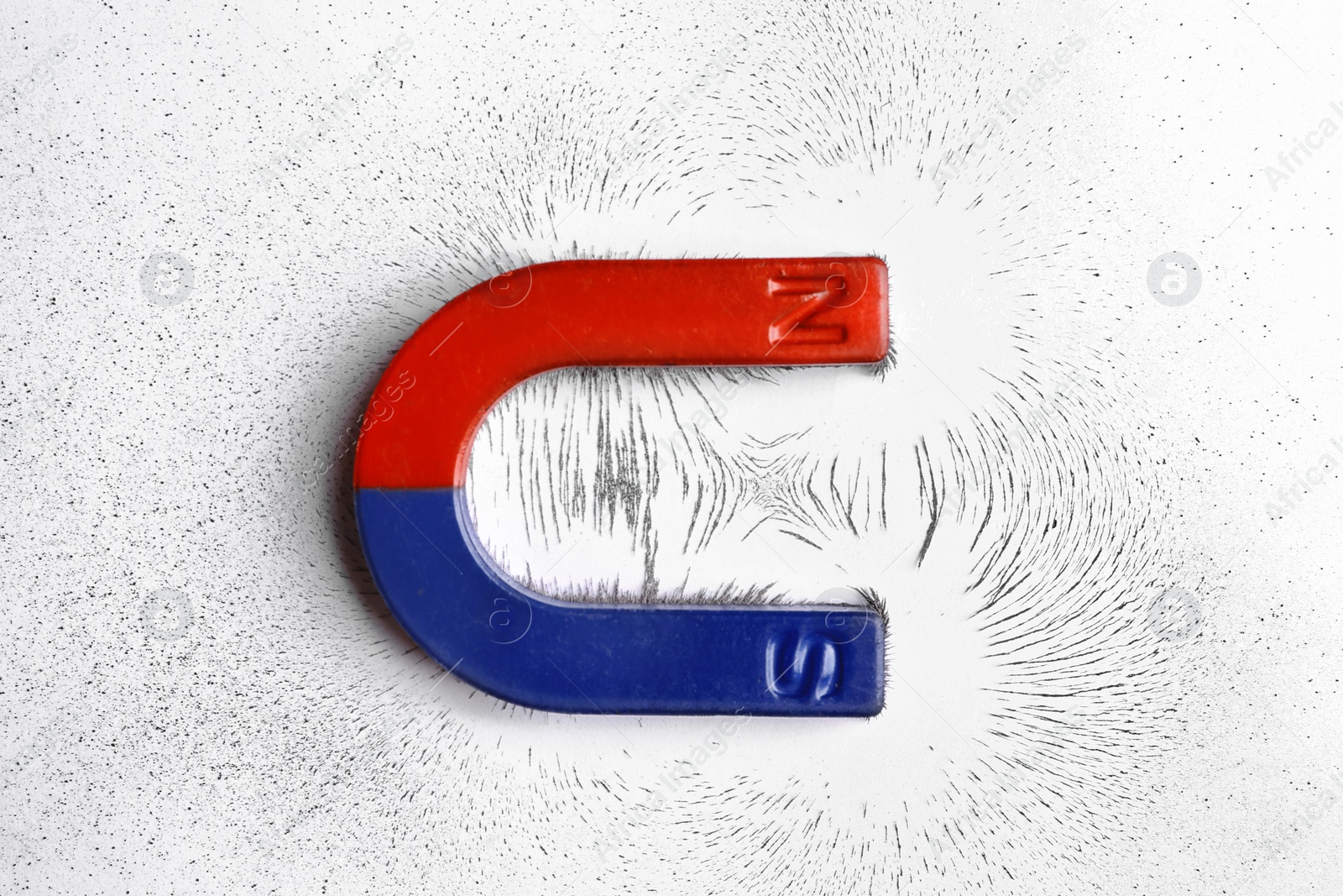 Photo of Red and blue horseshoe magnet with iron filings on white background, top view