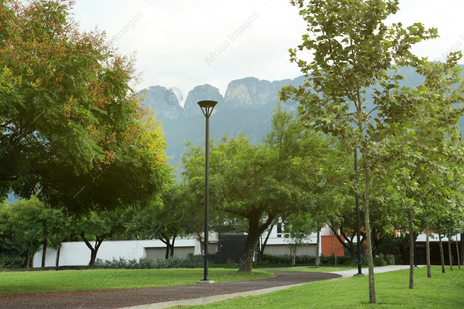 Photo of Beautiful view of green park with pathway