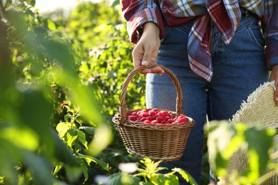 Photo of Woman holding wicker basket with ripe raspberries outdoors, closeup