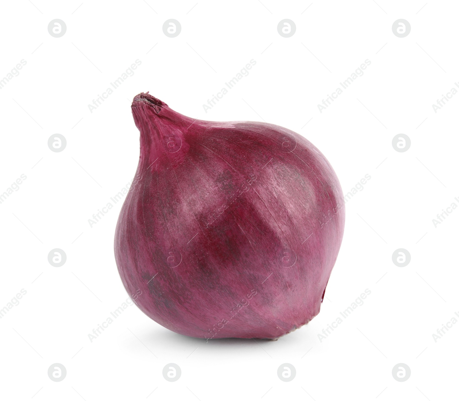 Photo of Fresh whole red onion on white background