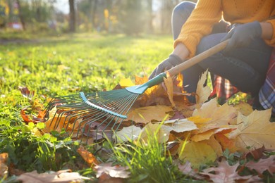 Photo of Woman raking fall leaves in park, closeup