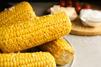 Delicious boiled corn with salt on table, closeup