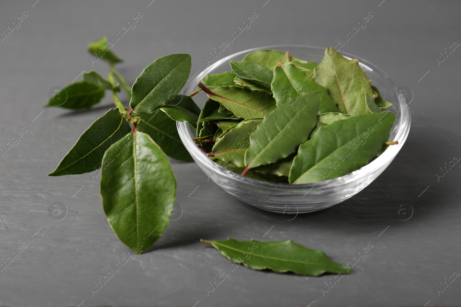 Photo of Fresh green bay leaves in bowl on gray wooden table