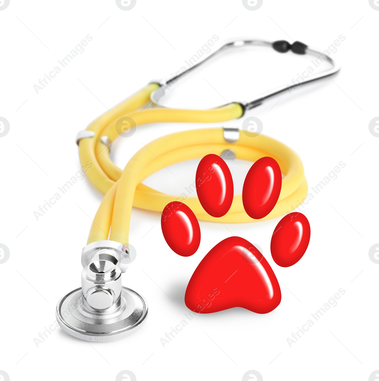 Image of Stethoscope and animal paw on white background