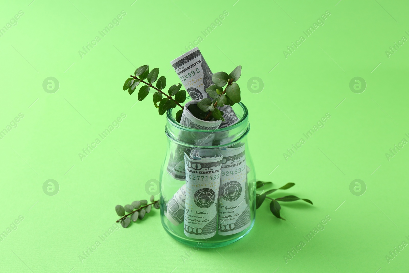 Photo of Financial savings. Dollar banknotes in glass jar and twigs on green background