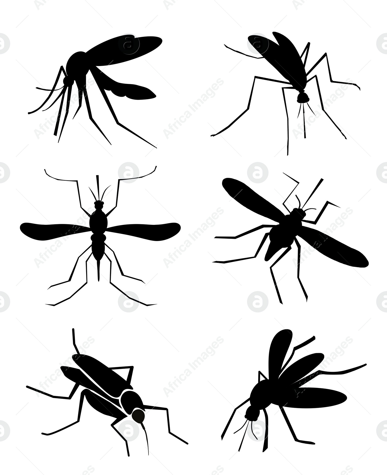 Image of Set of black mosquitoes on white background. Illustration