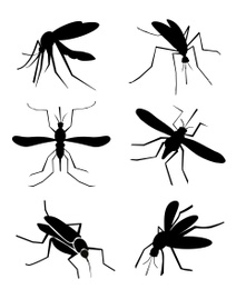 Image of Set of black mosquitoes on white background. Illustration