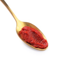 Spoon of tasty tomato paste isolated on white