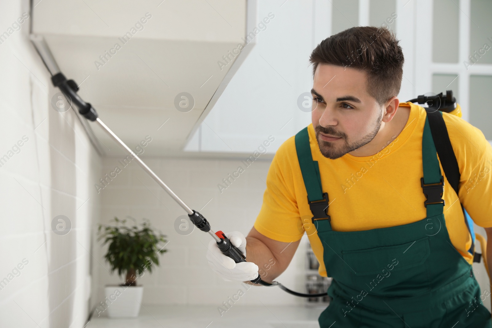 Photo of Pest control worker spraying insecticide on furniture in kitchen