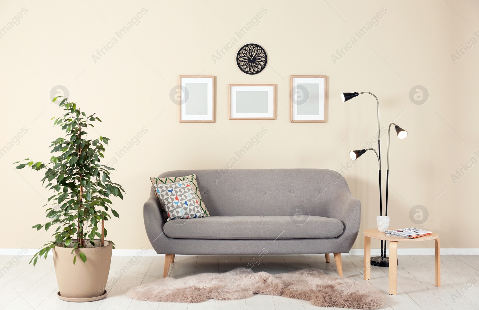 Photo of Stylish living room interior with ficus and sofa near light wall