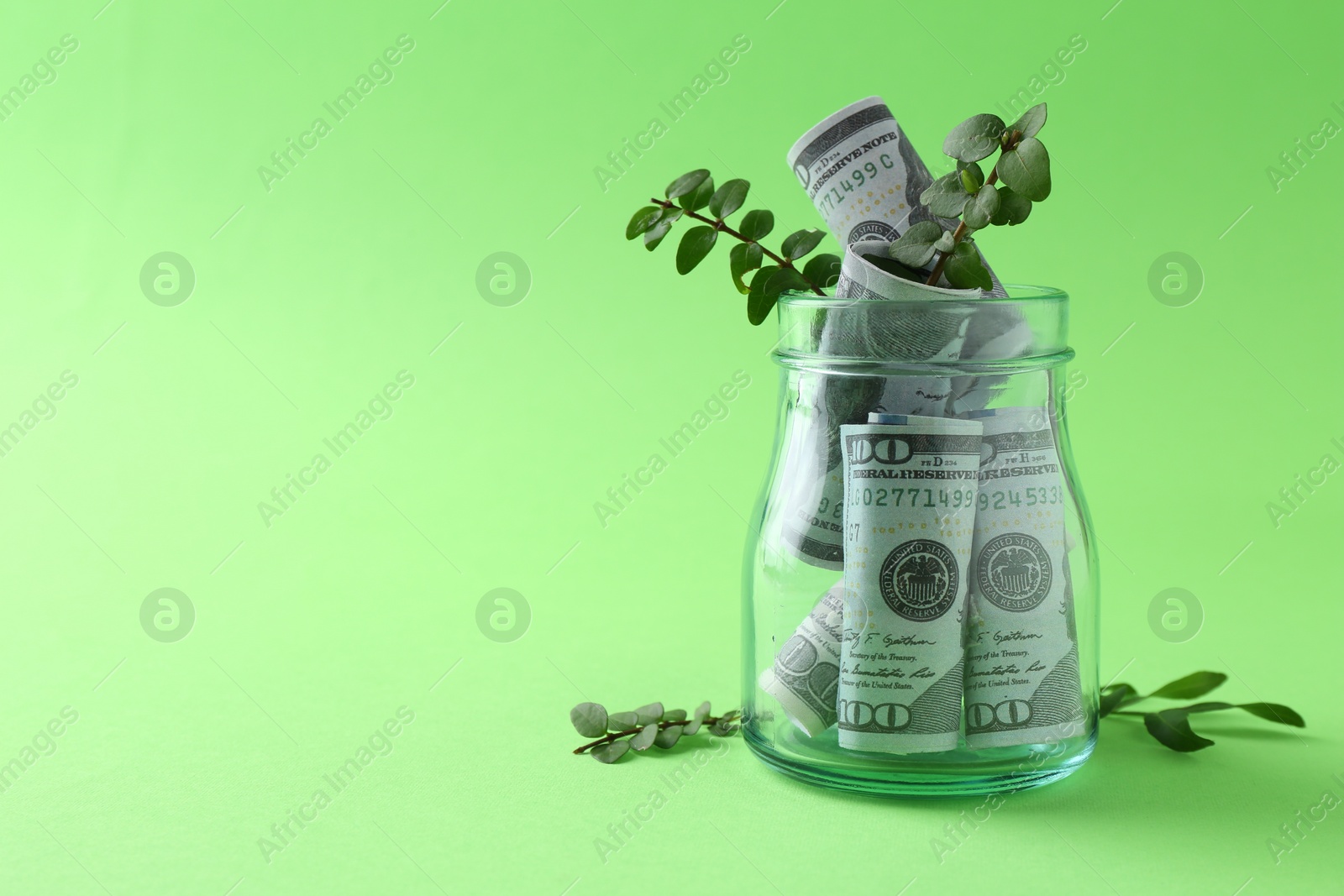 Photo of Financial savings. Dollar banknotes in glass jar and twigs on green background, space for text