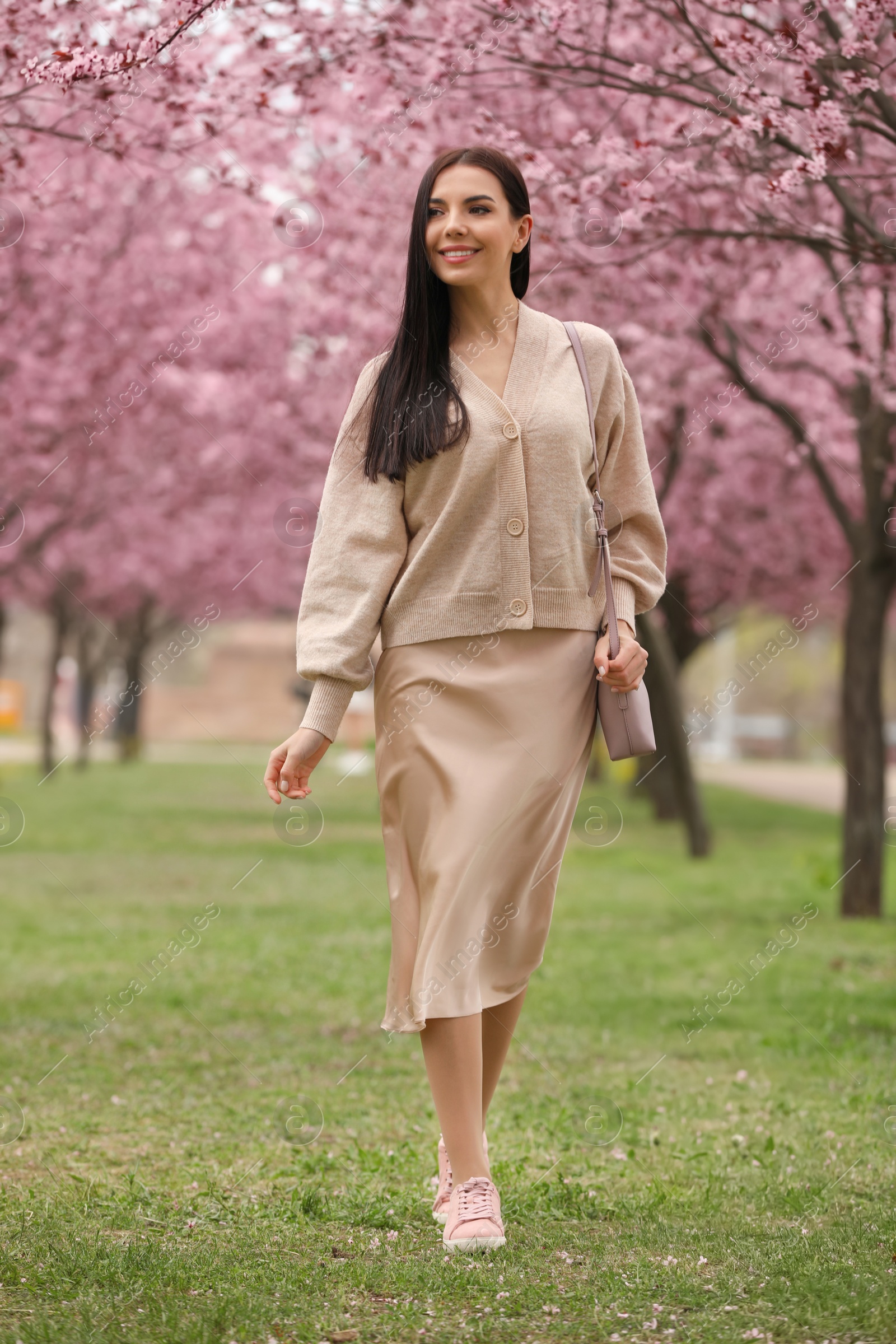 Photo of Pretty young woman in park with blooming trees. Spring look