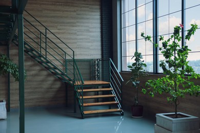 Modern empty office corridor with plants and stairs