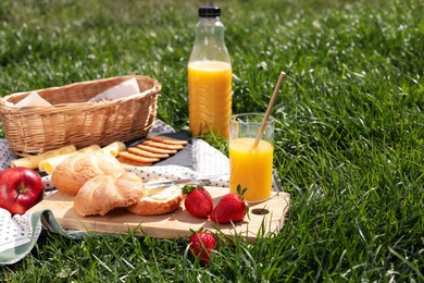 Blanket with juice and snacks for picnic on green grass
