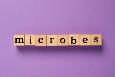 Photo of Word Microbes made with wooden cubes on purple background, flat lay