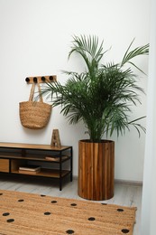 Photo of Hallway interior with beautiful green houseplant near white wall