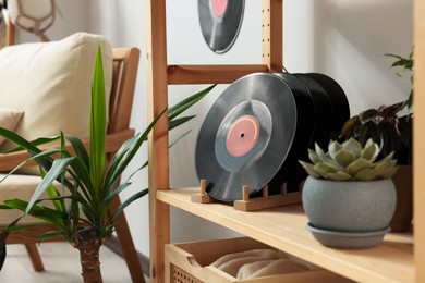 Vinyl records on wooden shelving unit with houseplants in living room