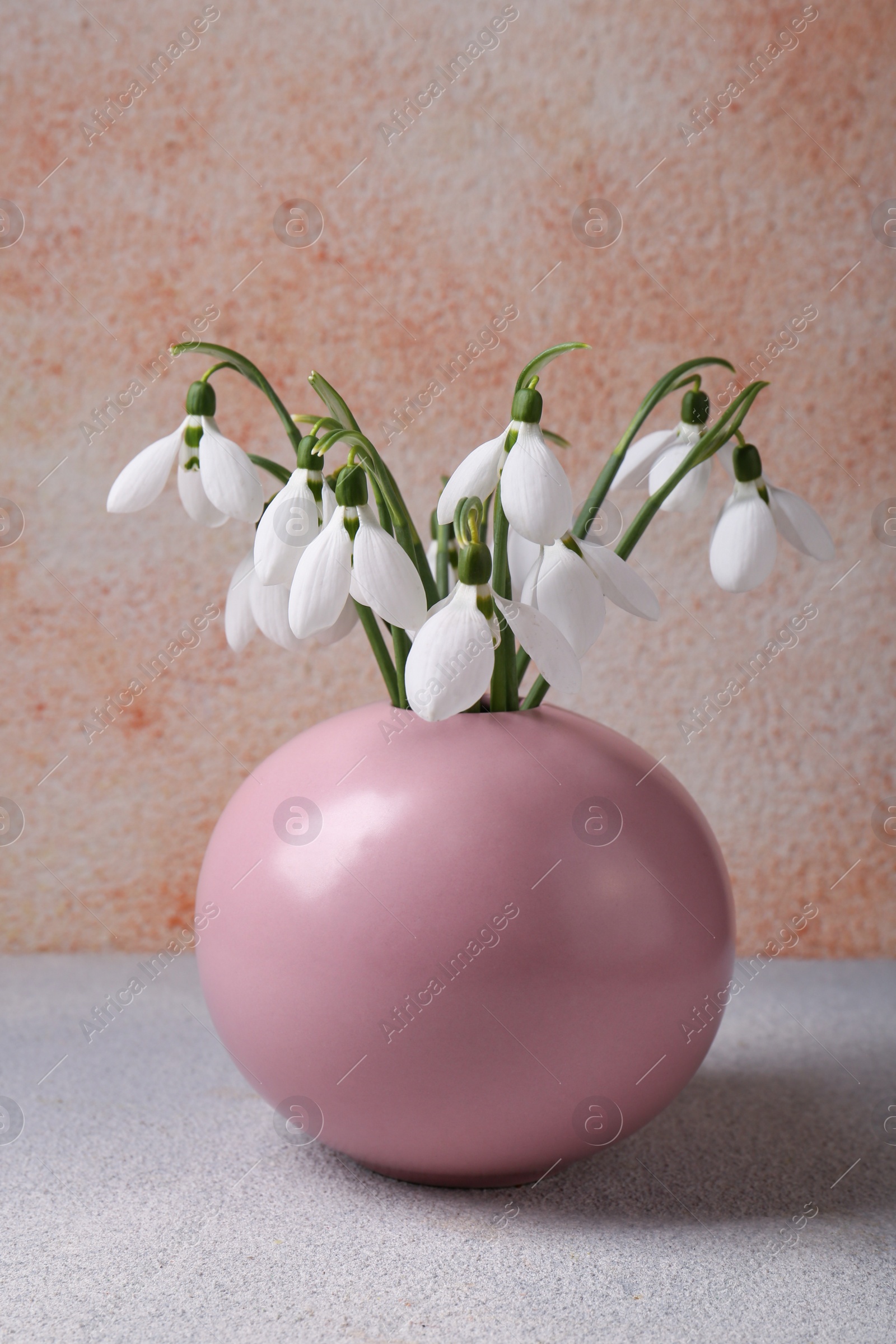 Photo of Beautiful snowdrops in vase on white wooden table