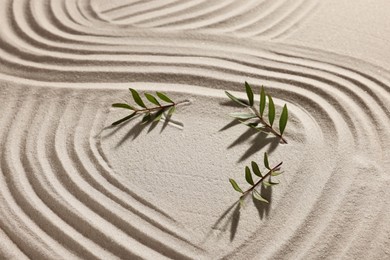 Photo of Beautiful lines and branches on sand. Zen garden