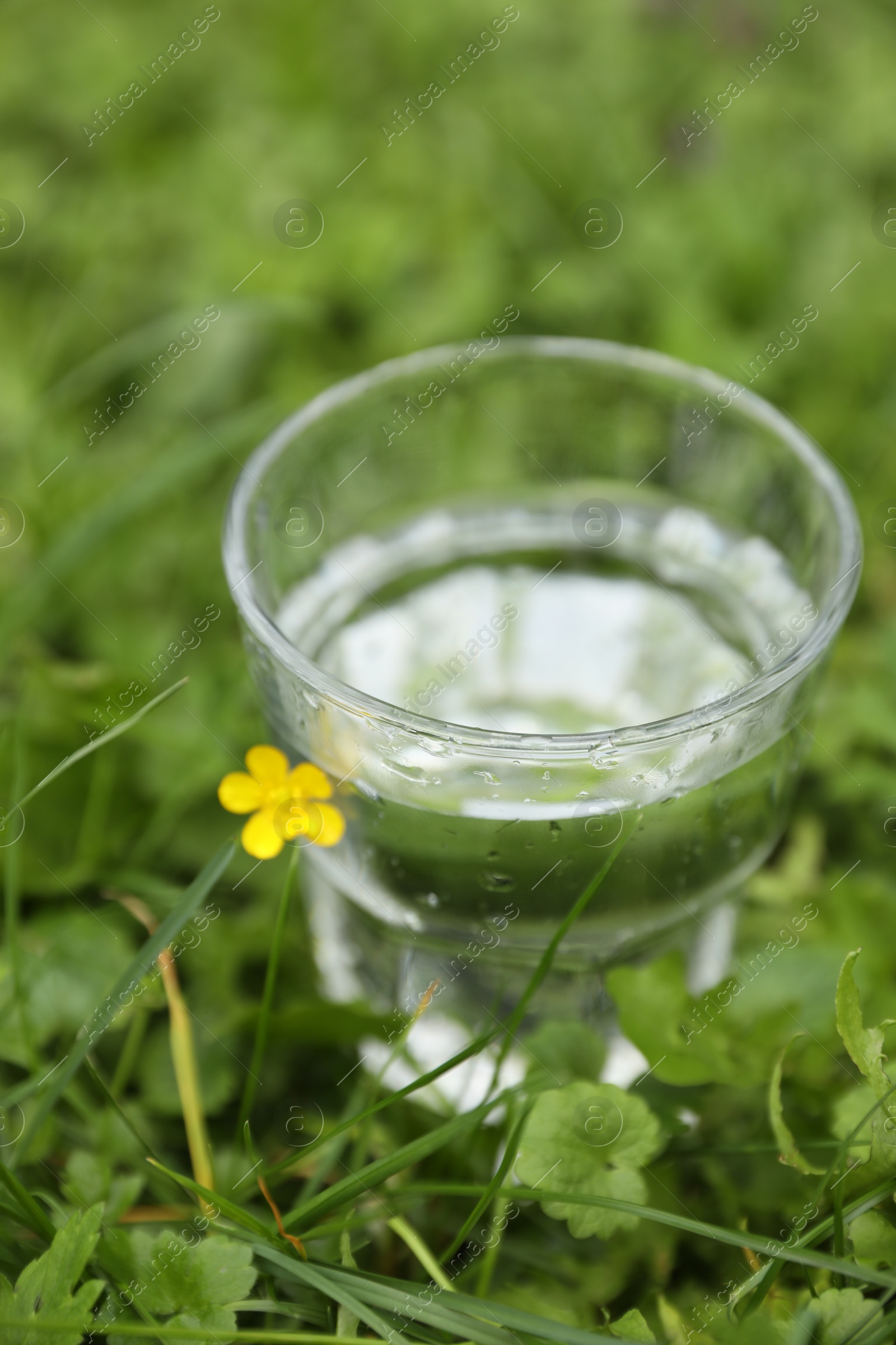 Photo of Glass of fresh water on green grass outdoors, closeup