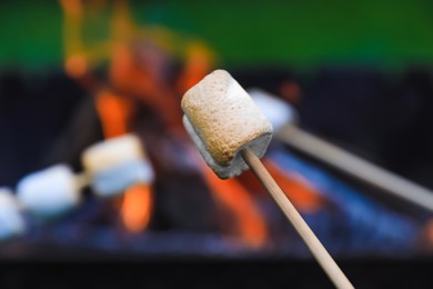 Photo of Delicious puffy marshmallows roasting over bonfire, closeup. Space for text