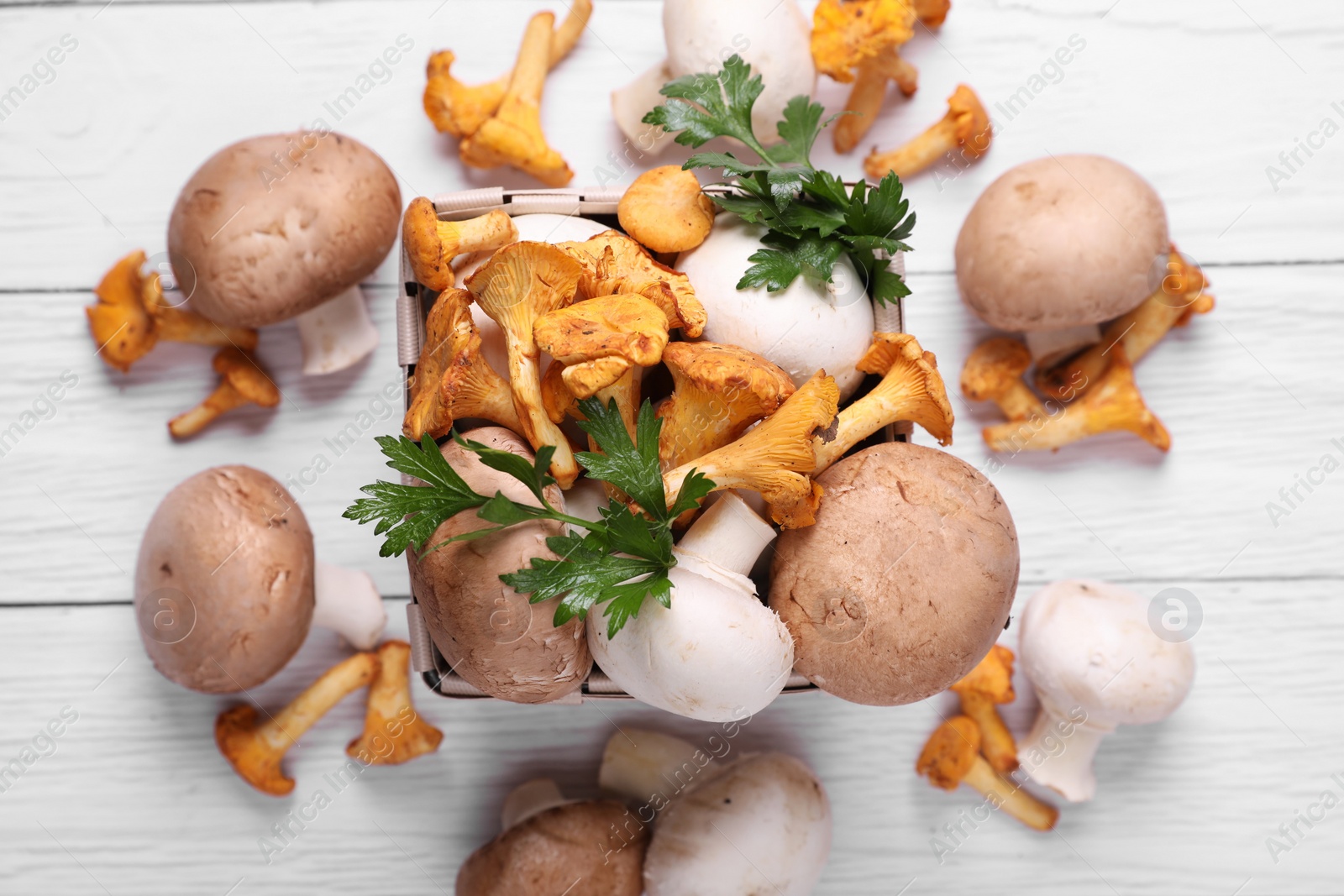 Photo of Basket with different mushrooms and parsley on white wooden table, flat lay