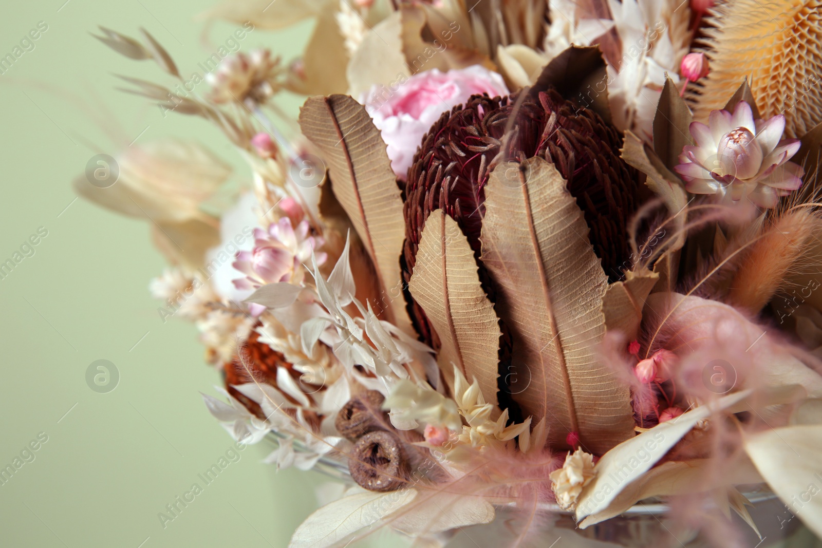 Photo of Beautiful elegant dried flower bouquet on olive background, closeup view