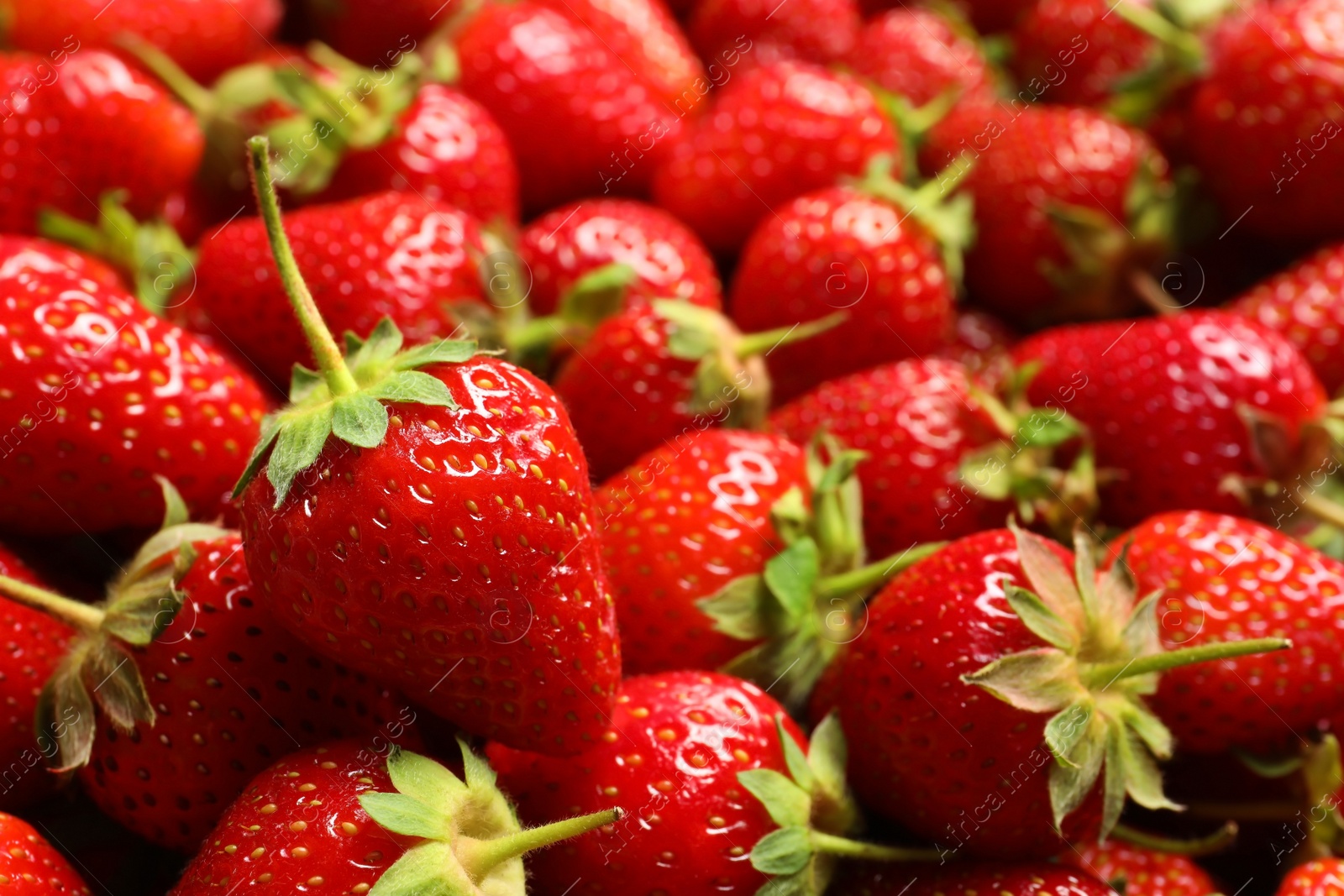 Photo of Many fresh ripe strawberries as background, closeup