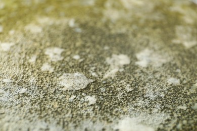 Tasty melted butter, closeup view. Dairy product