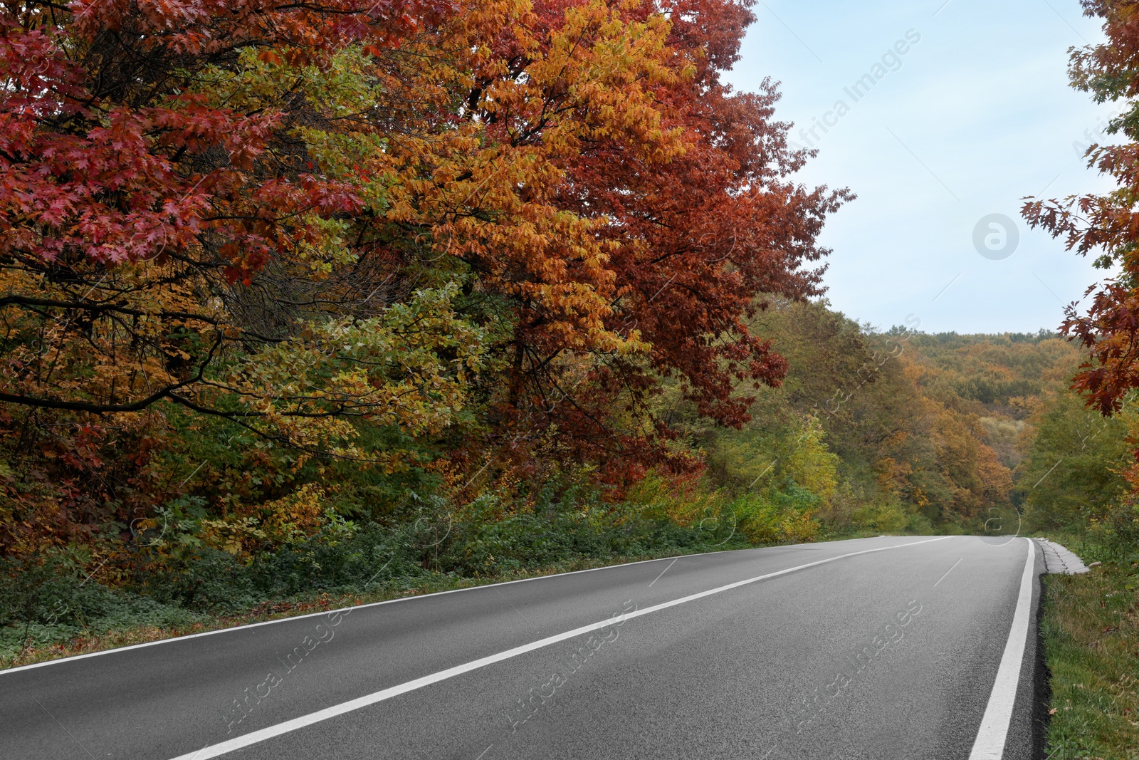 Photo of Beautiful view of asphalt highway without transport near autumn forest