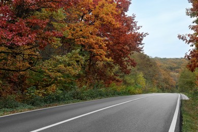 Photo of Beautiful view of asphalt highway without transport near autumn forest