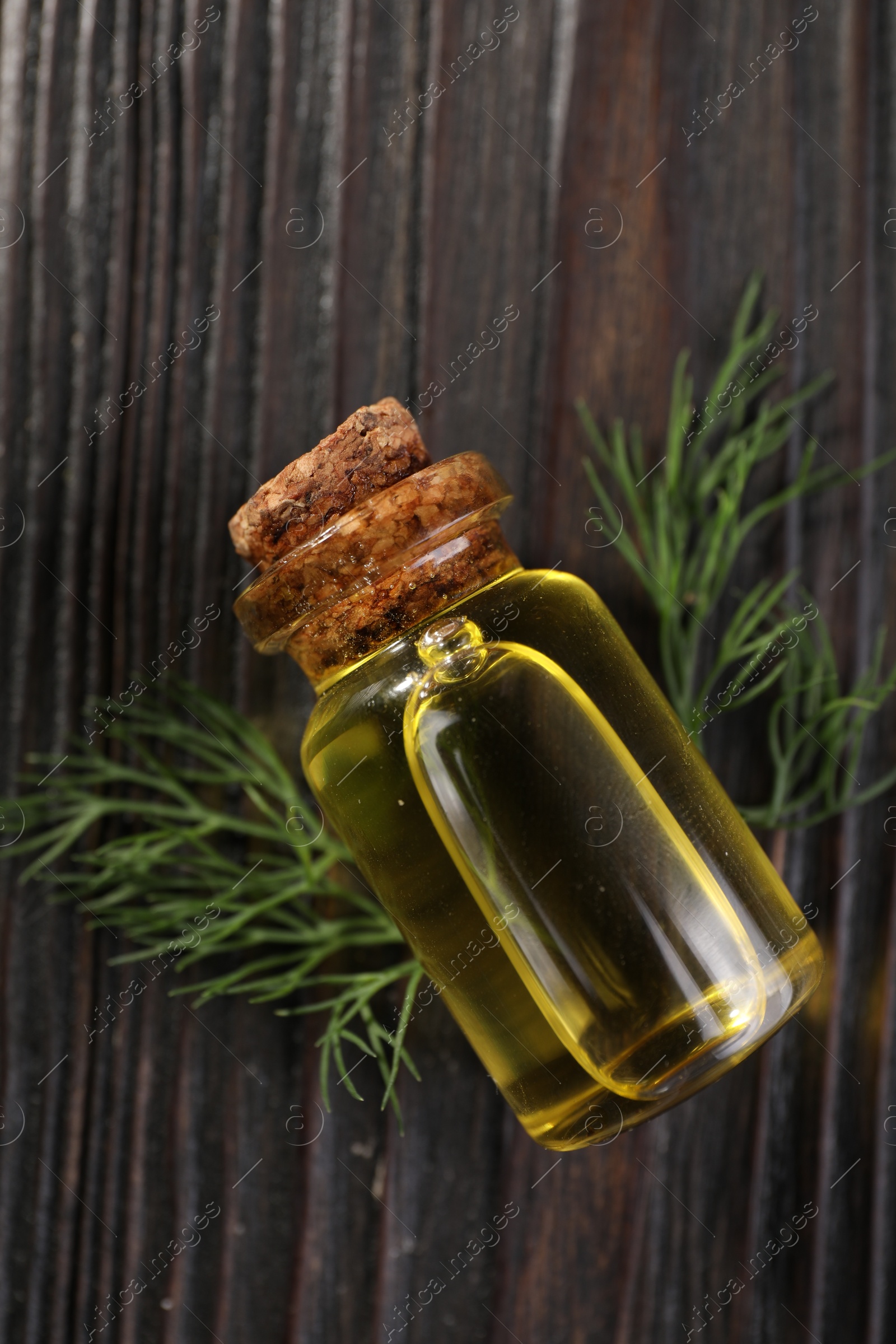Photo of Bottle of essential oil and fresh dill on dark wooden table, flat lay