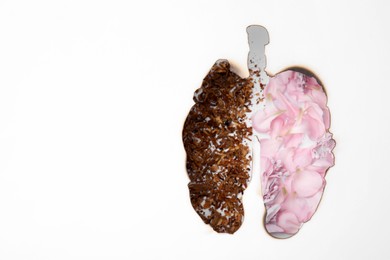 Photo of No smoking concept. Top view of flowers and dry tobacco through burned lungs shaped paper, space for text