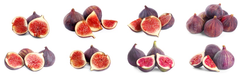 Image of Set of cut and whole figs on white background. Banner design