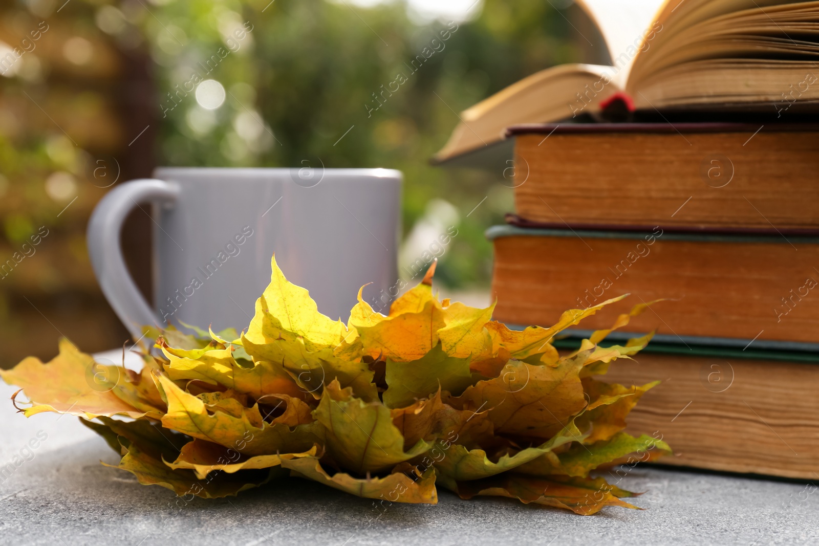 Photo of Yellow maple leaves, books and cup of tea on light gray table, closeup. Autumn atmosphere