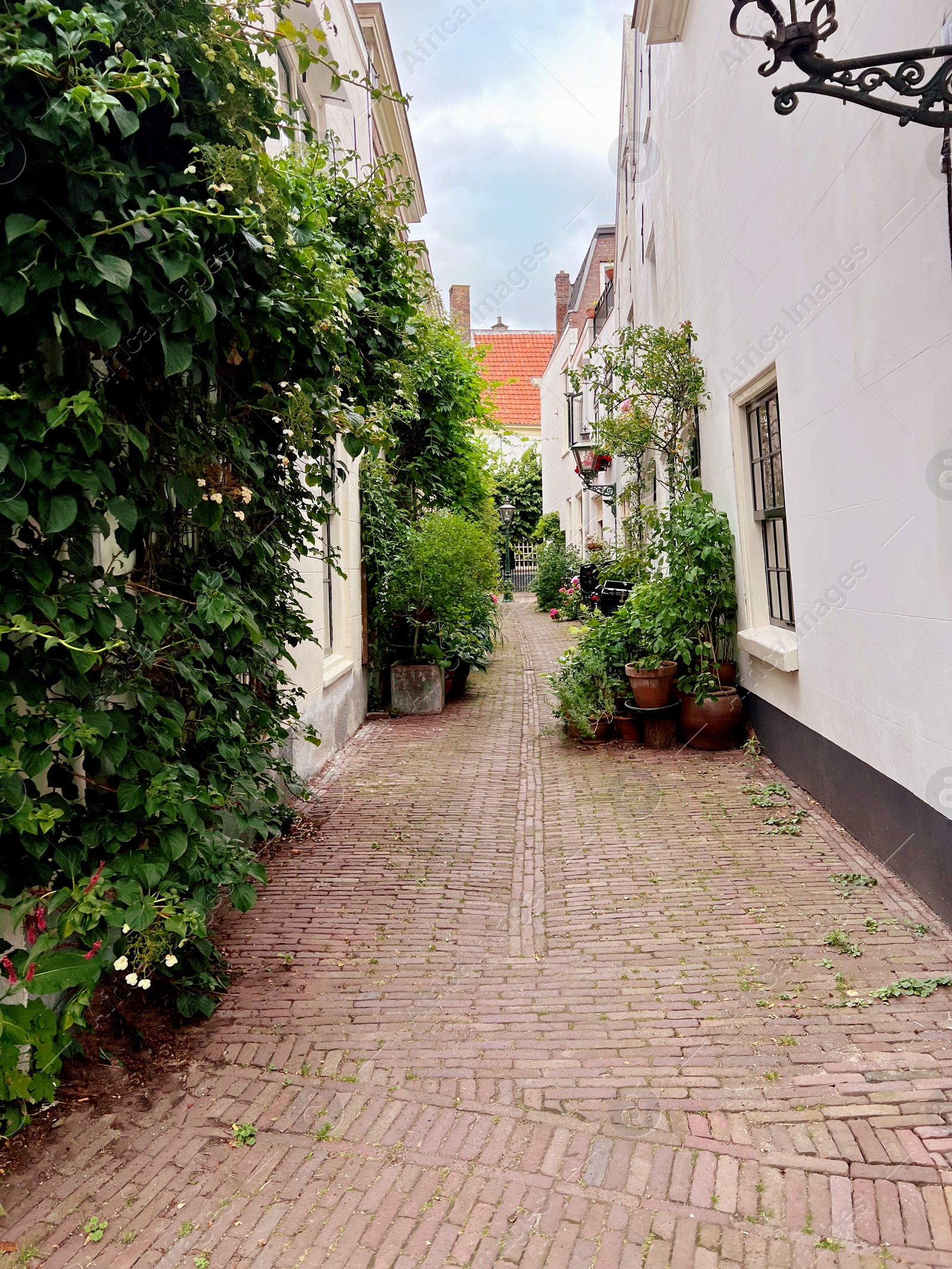 Photo of Beautiful view of city street with buildings and plants on sunny day